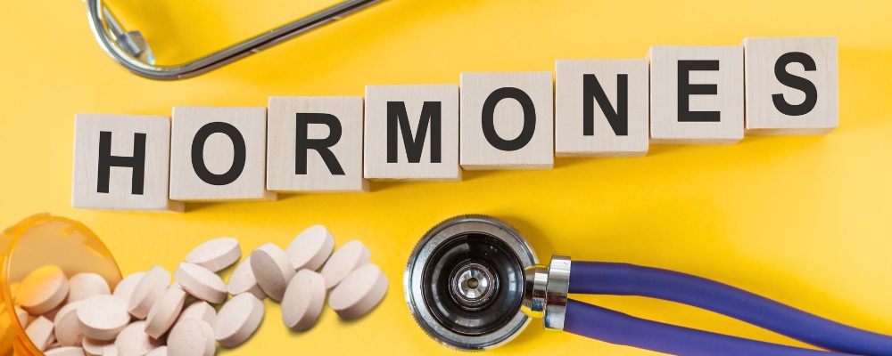 Bausteine auf denen Hormone steht und daneben ein Pillenkästchen