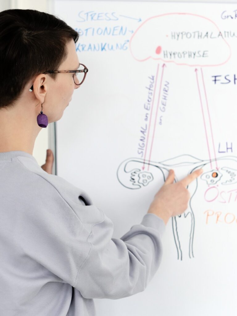 Workshop über Zykluswissen, Ricarda Thiele steht an der Tafel und erklärt scheinbar wie die Hormone im Körper einer Frau mit dem Hirnstamm zusammenspielen.