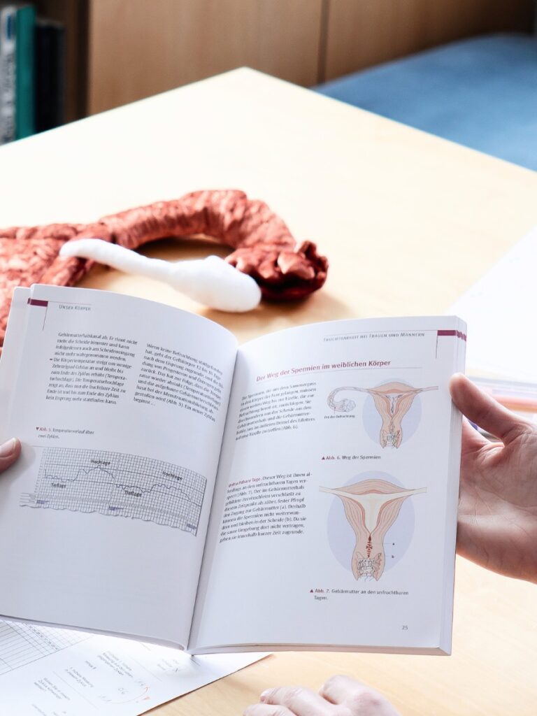 Am Bild sieht man ein offenes Buch über Zykluswissen und den Uterus. Ricarda erklärt einer Klientin gerade alles über die Vorgänge im Uterus während der Periode.