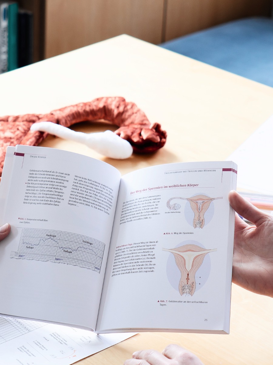 Am Bild sieht man ein offenes Buch über Zykluswissen und den Uterus. Ricarda erklärt einer Klientin gerade alles über die Vorgänge im Uterus während der Periode.